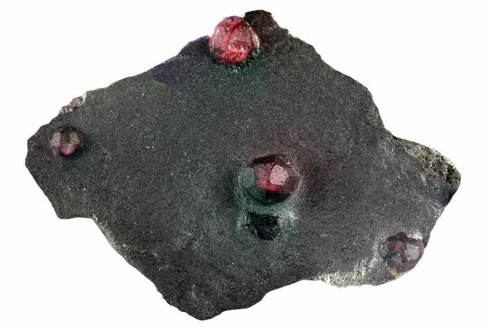 Plate of Five Red Embers Garnets in Graphite - Massachusetts #313544